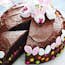 Easter Bunny Chocolate Cake